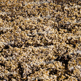 Cannalab CBD ''Bubble Hash'' 57%