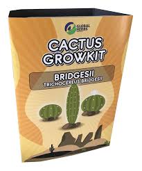 Global Herbs ''Bolivian Torch'' Cactus Seed Germination Kit