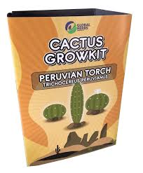 Global Herbs ''Peruvian Torch'' Peyote Cactus Growkit